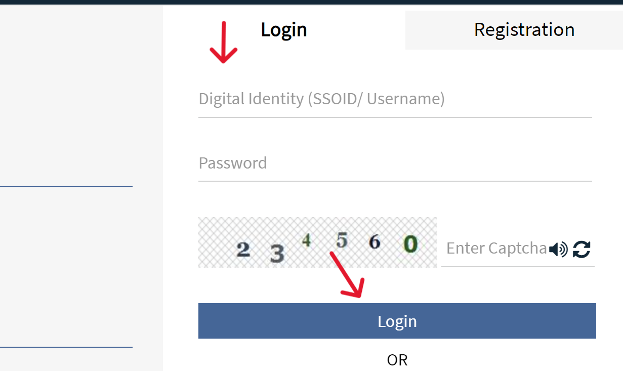 SSO ID Login  