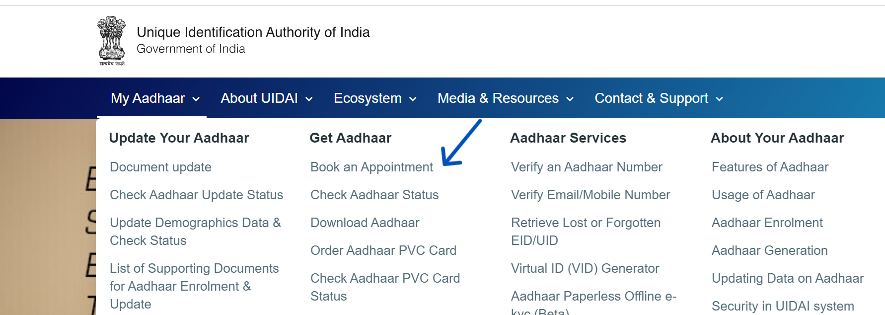 UIDAI Portal