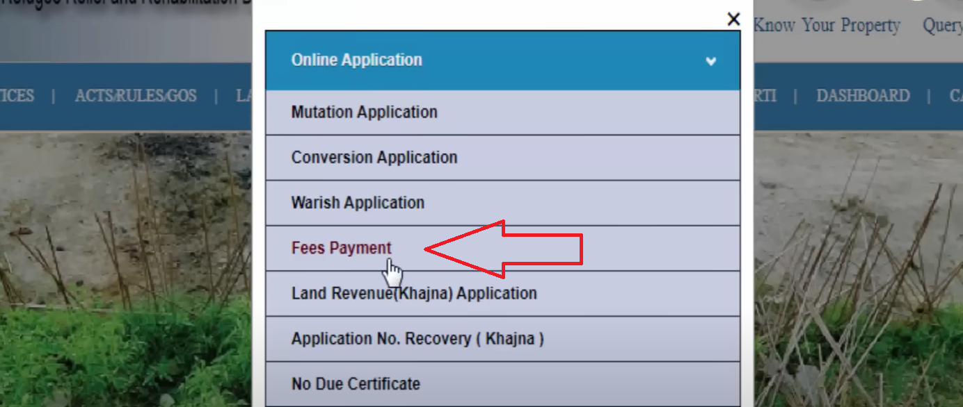 Fees Payment