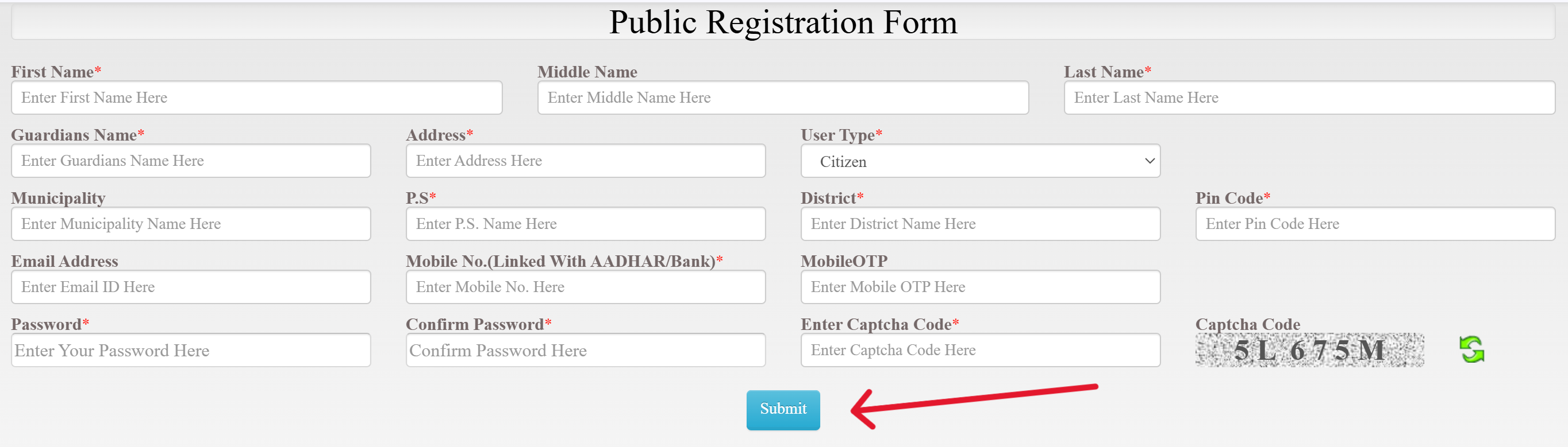 Public Registration Form